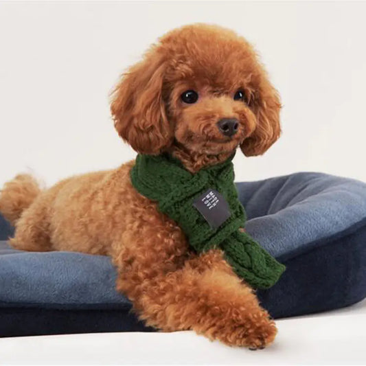 Pet Care Tips
